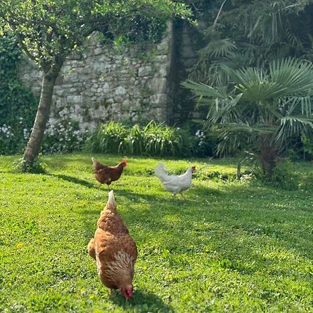 غوريزيا B&B Antico Fienile المظهر الخارجي الصورة