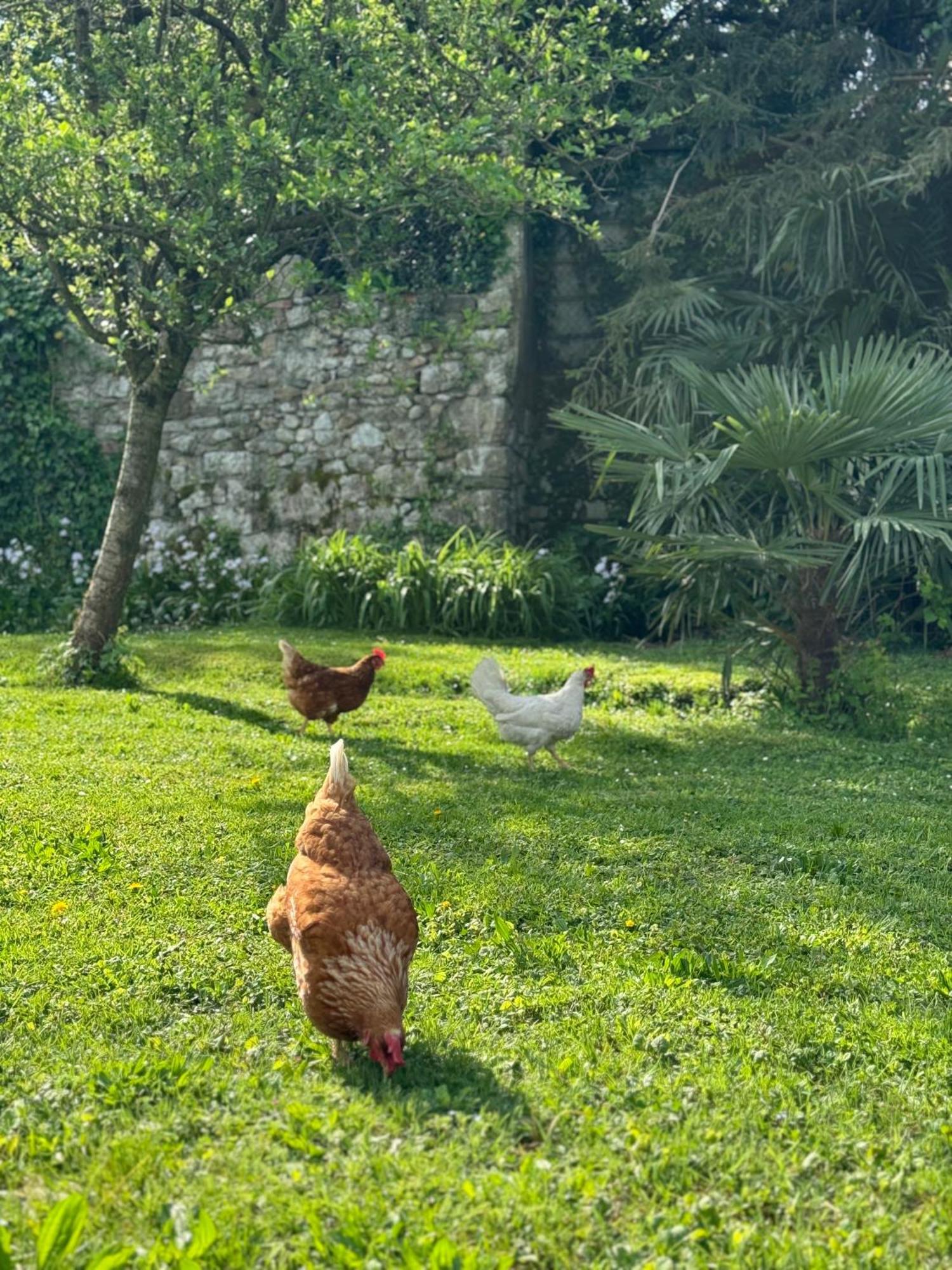 غوريزيا B&B Antico Fienile المظهر الخارجي الصورة